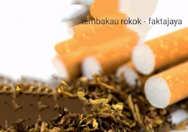 Per 1 Februari Tarif Cukai Rokok Bakal Naik