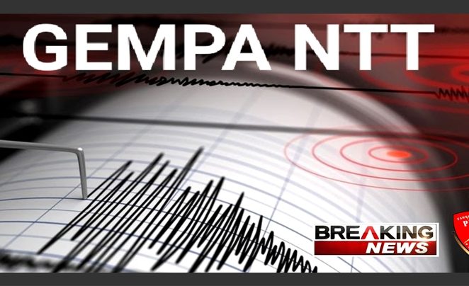 BMKG : Peringatan Tsunami NTT Akibat Gempa Magnitudo 7.5 Sudah Berakhir