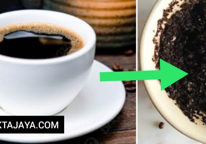 Ini ‘Manfaat Ampas Kopi’ Yg Selama Ini Diabaikan