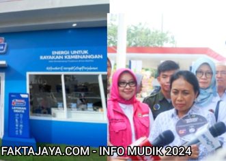 Pemudik Tahun Ini, Sudah Tersedia Sarana Khusus Perempuan dan Anak di Rest Area KM.59